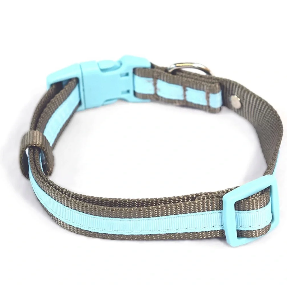 Aqua Martha Stewart Nylon Dog Collar 18-26”